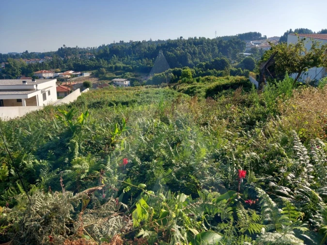 Terreno para Venda em Nogueira da Regedoura Foto 2
