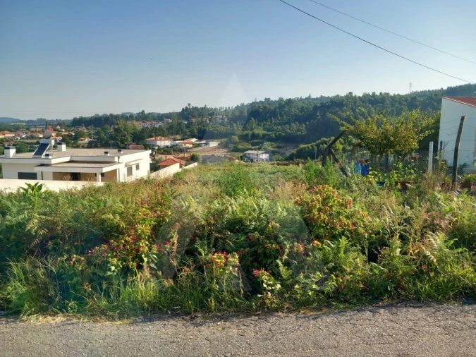 Terreno para Venda em Nogueira da Regedoura Foto 3