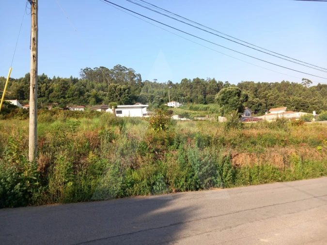 Terreno para Venda em Nogueira da Regedoura Foto 5