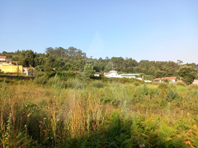 Terreno para Venda em Nogueira da Regedoura Foto 6