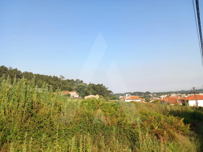 Terreno para Venda em Nogueira da Regedoura Foto 7