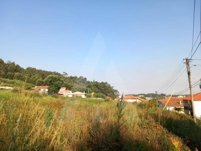 Terreno para Venda em Nogueira da Regedoura Foto 8