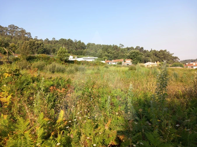 Terreno para Venda em Nogueira da Regedoura Foto 9