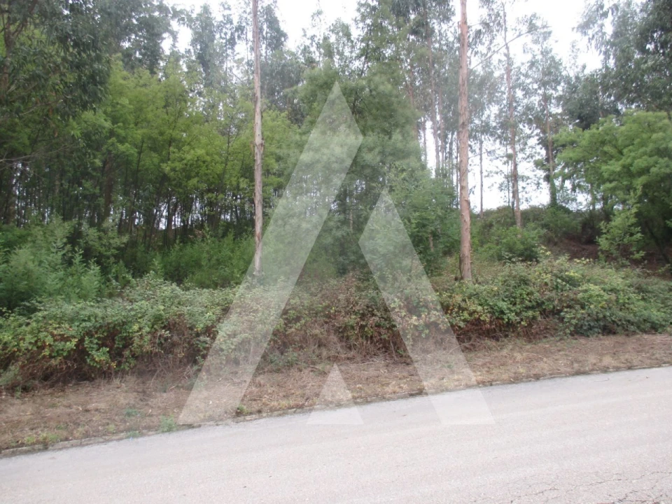 Terreno para Venda em Barrô e Aguada de Baixo Foto 1