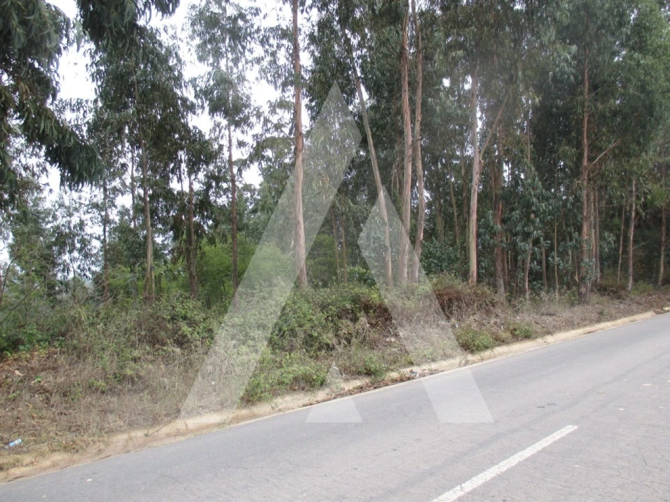 Terreno para Venda em Barrô e Aguada de Baixo Foto 4