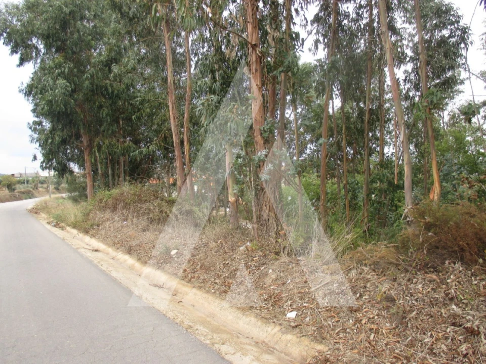 Terreno para Venda em Barrô e Aguada de Baixo Foto 5