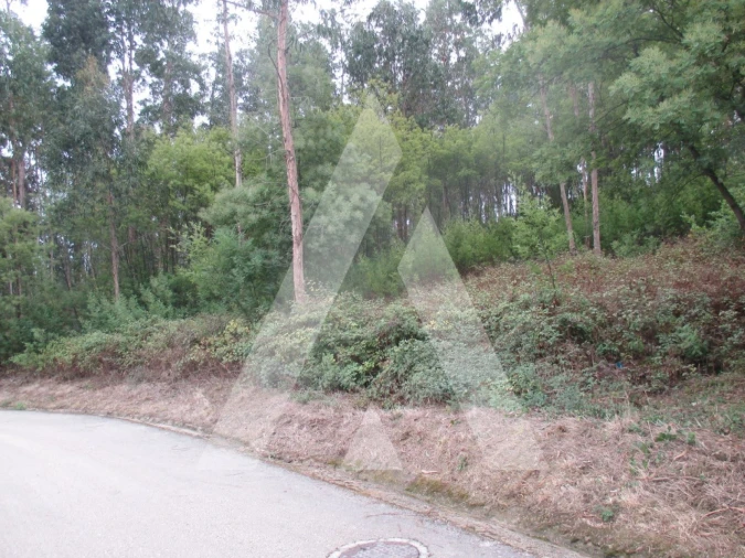 Terreno para Venda em Barrô e Aguada de Baixo Foto 3