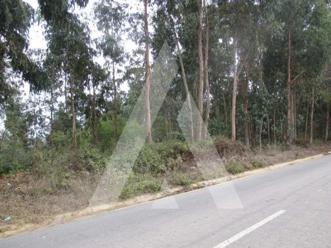 Terreno para Venda em Barrô e Aguada de Baixo Foto 4