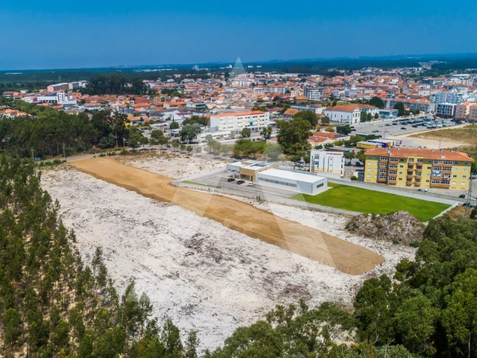 Terreno para Venda em Ovar, São João, Arada e São Vicente de Pereira Jusã Foto 16