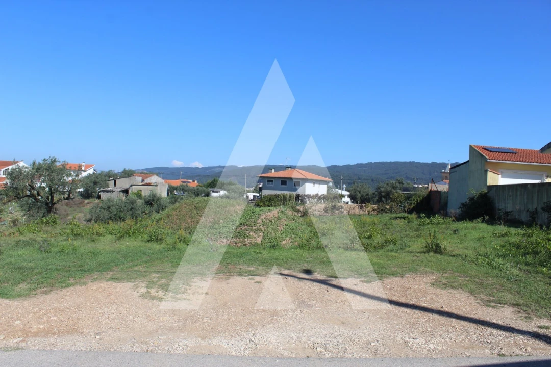 Terreno para Venda em Santo Antonio dos Olivais Foto 4