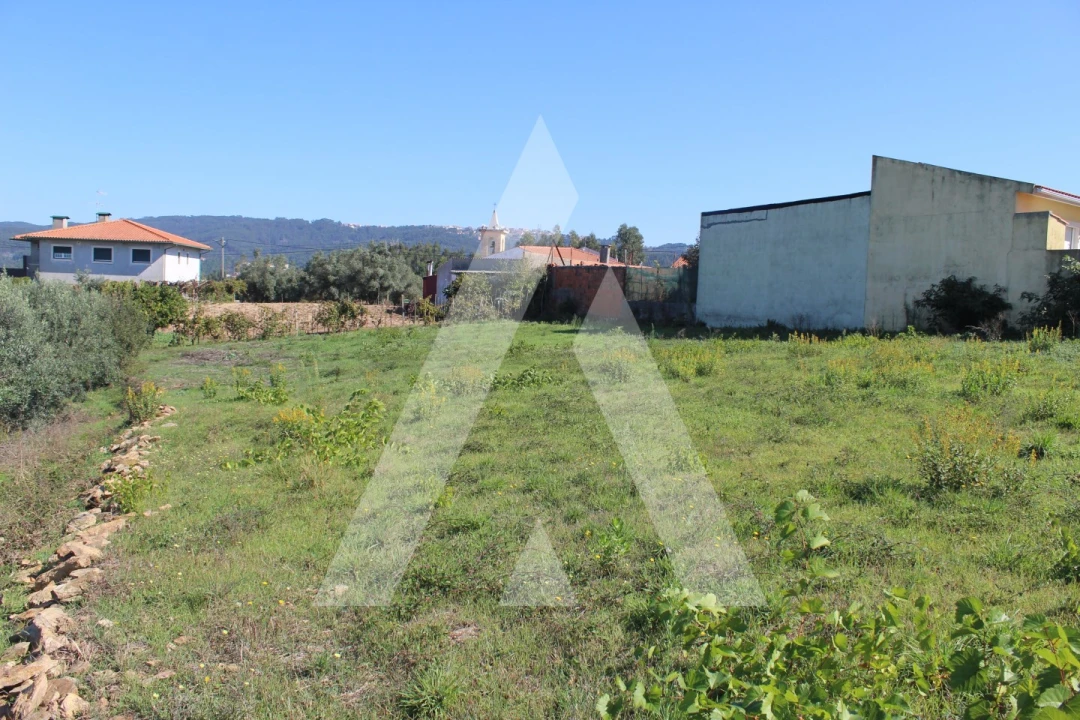 Terreno para Venda em Santo Antonio dos Olivais Foto 5