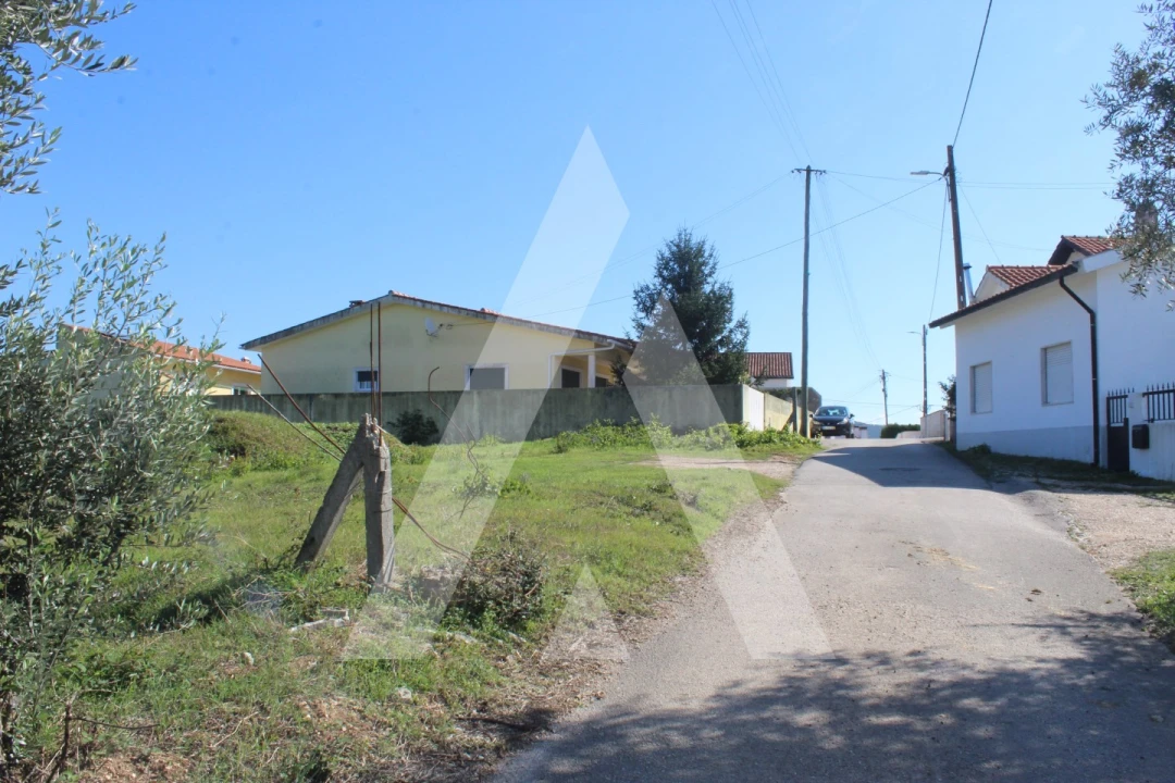 Terreno para Venda em Santo Antonio dos Olivais Foto 3