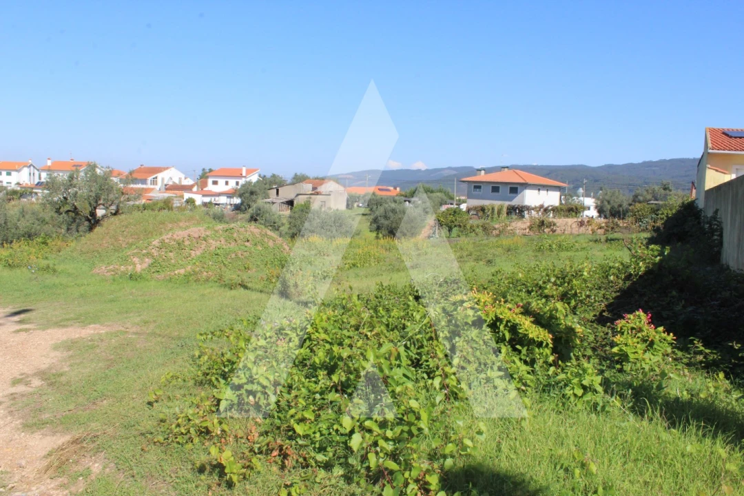 Terreno para Venda em Santo Antonio dos Olivais Foto 7