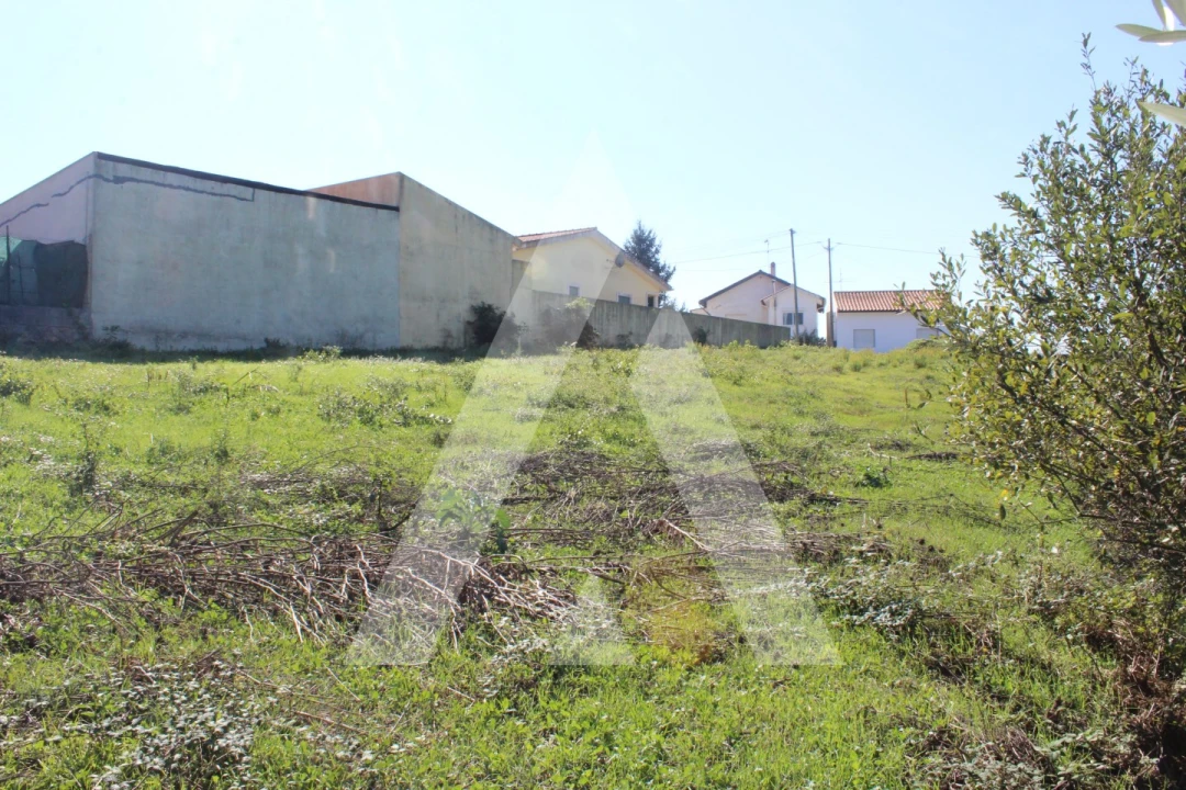 Terreno para Venda em Santo Antonio dos Olivais Foto 9