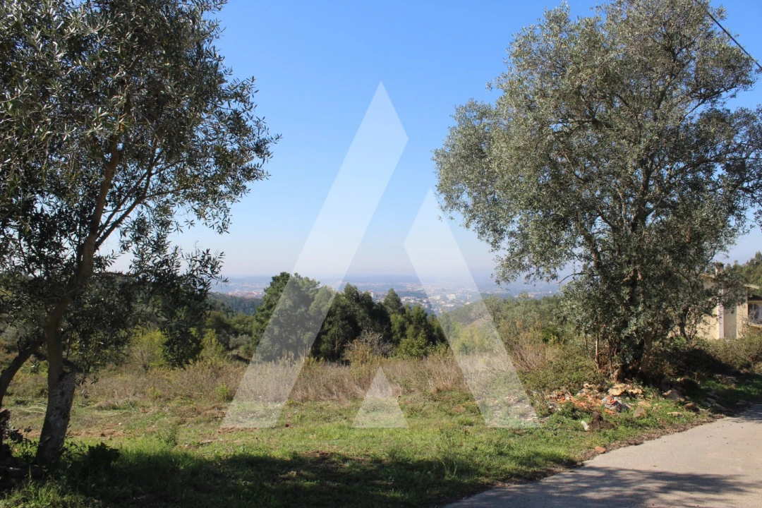 Terreno para Venda em Santo Antonio dos Olivais Foto 12