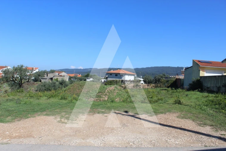 Terreno para Venda em Santo Antonio dos Olivais Foto 4