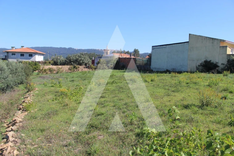 Terreno para Venda em Santo Antonio dos Olivais Foto 5