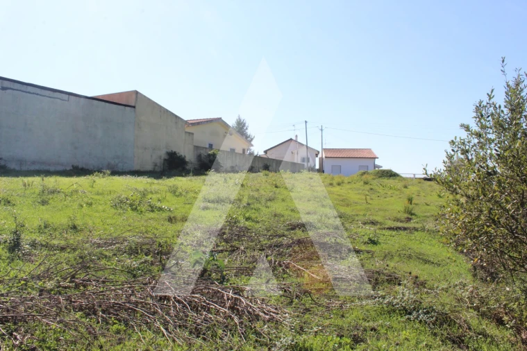 Terreno para Venda em Santo Antonio dos Olivais Foto 8