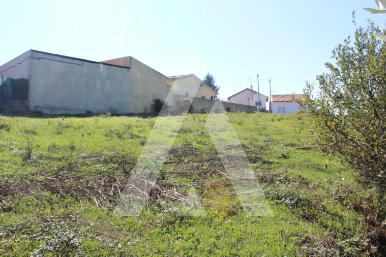 Terreno para Venda em Santo Antonio dos Olivais Foto 9
