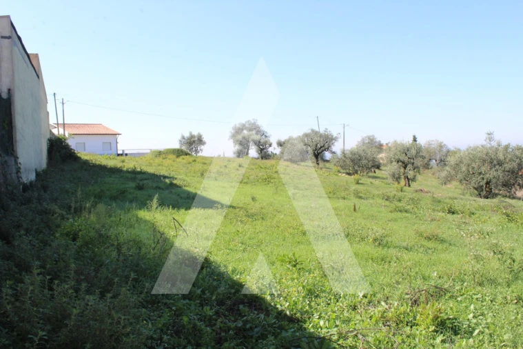 Terreno para Venda em Santo Antonio dos Olivais Foto 10