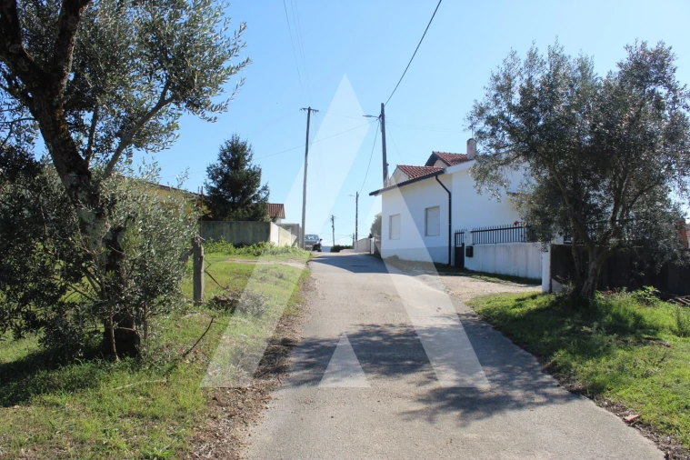 Terreno para Venda em Santo Antonio dos Olivais Foto 11
