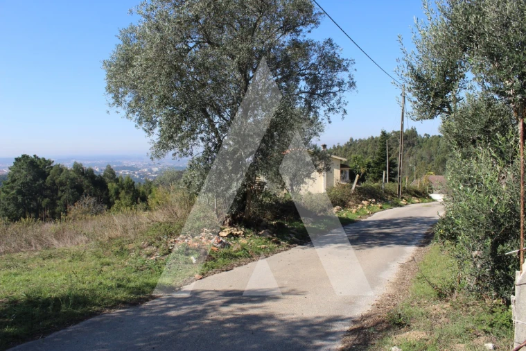 Terreno para Venda em Santo Antonio dos Olivais Foto 13