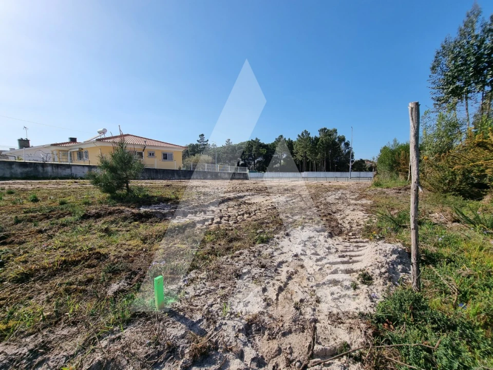 Terreno para Venda em Ovar, São João, Arada e São Vicente de Pereira Jusã Foto 19