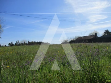 Terreno para Venda em Bustos, Troviscal e Mamarrosa