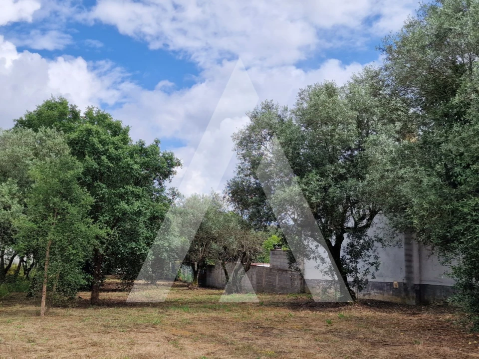 Terreno para Venda em Souto da Carpalhosa e Ortigosa Foto 2