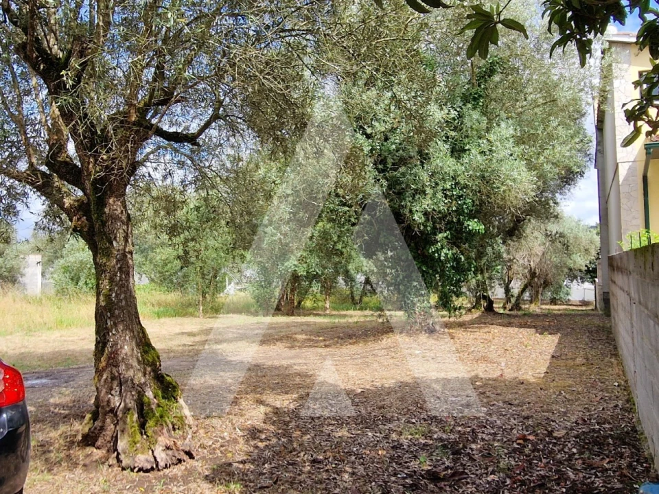 Terreno para Venda em Souto da Carpalhosa e Ortigosa Foto 4