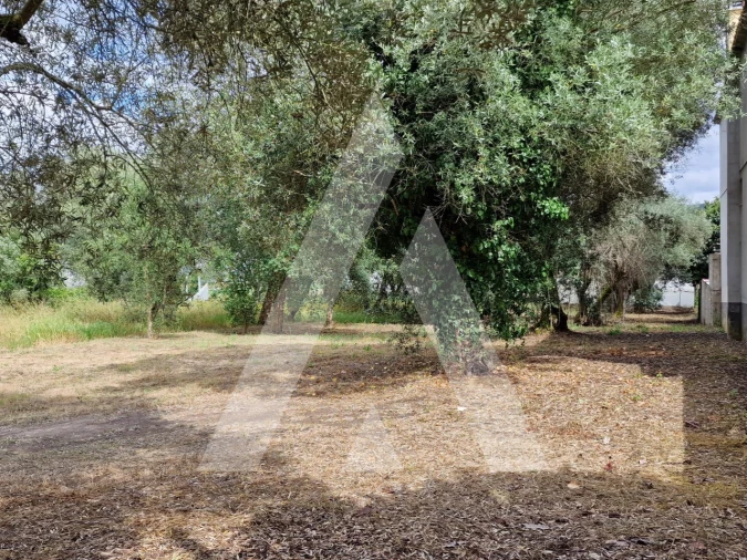 Terreno para Venda em Souto da Carpalhosa e Ortigosa Foto 1
