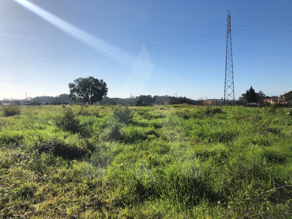 Terreno para Venda em Beduído e Veiros Foto 1