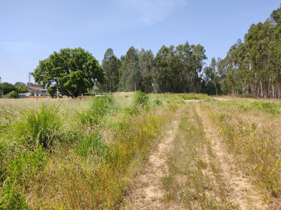 Terreno para Venda em Beduído e Veiros Foto 6