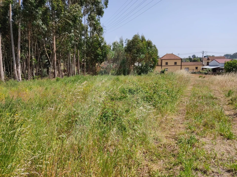 Terreno para Venda em Beduído e Veiros Foto 7