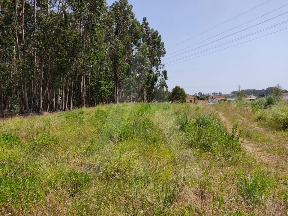 Terreno para Venda em Beduído e Veiros Foto 12