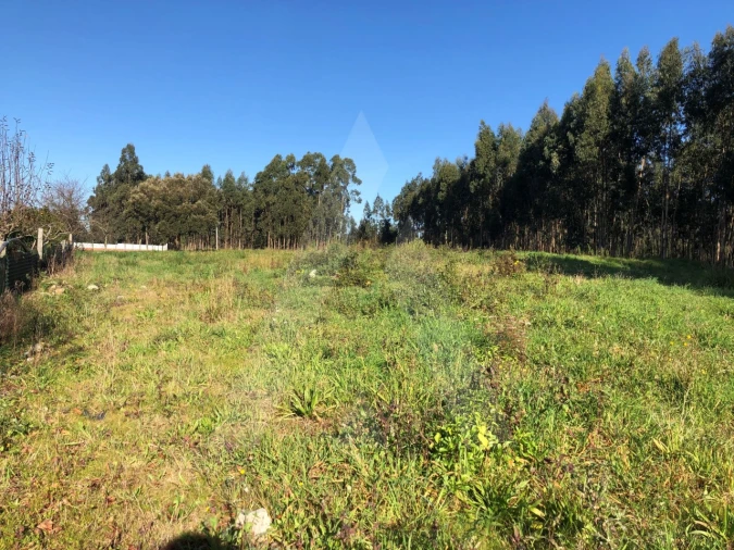 Terreno para Venda em Beduído e Veiros Foto 2