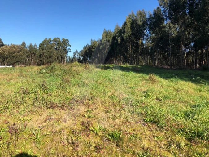 Terreno para Venda em Beduído e Veiros Foto 3