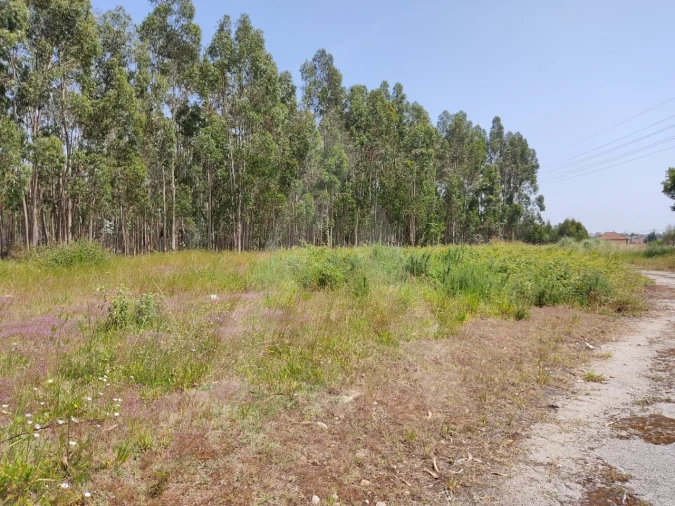 Terreno para Venda em Beduído e Veiros Foto 4