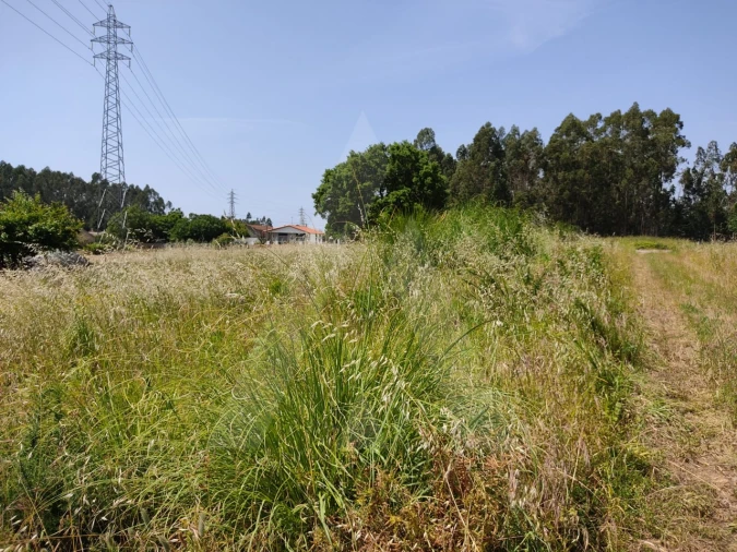 Terreno para Venda em Beduído e Veiros Foto 8