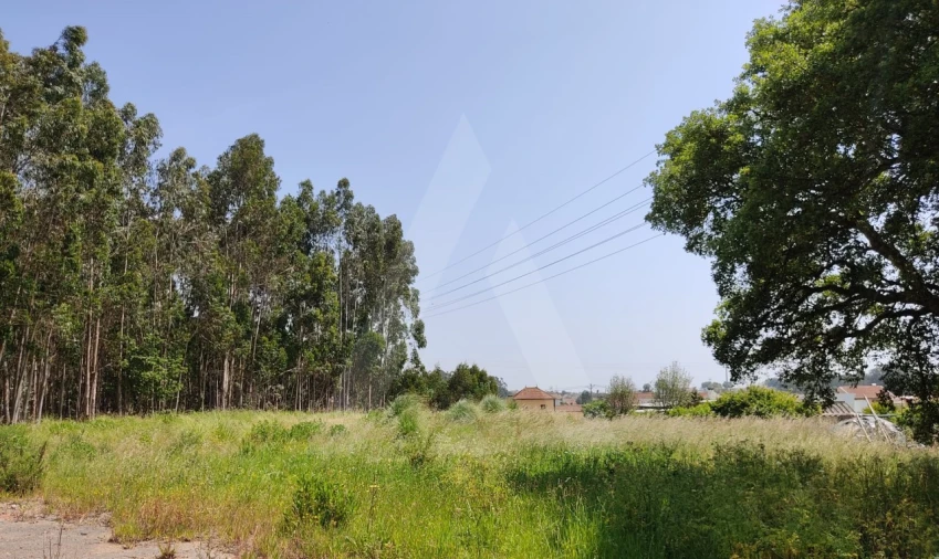 Terreno para Venda em Beduído e Veiros Foto 11