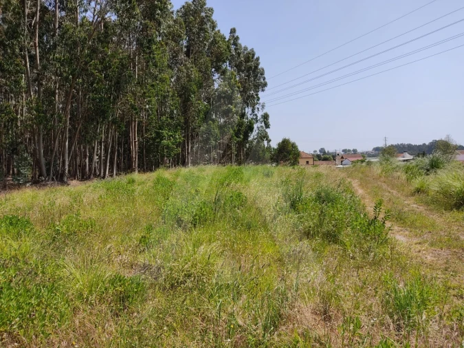 Terreno para Venda em Beduído e Veiros Foto 12