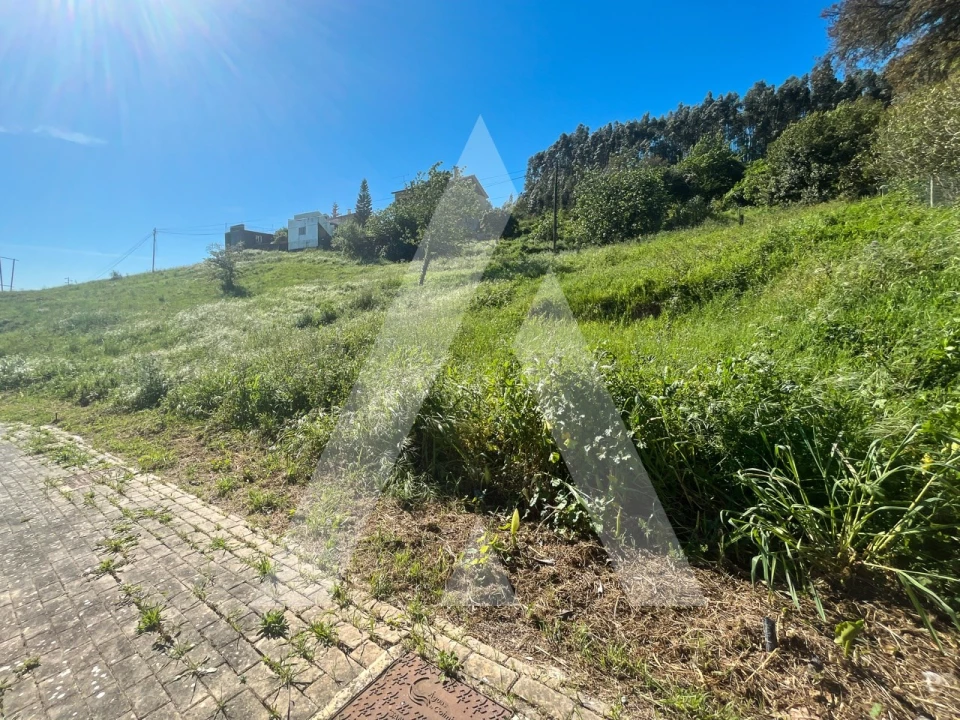 Terreno para Venda em Santa Clara e Castelo Viegas Foto 9