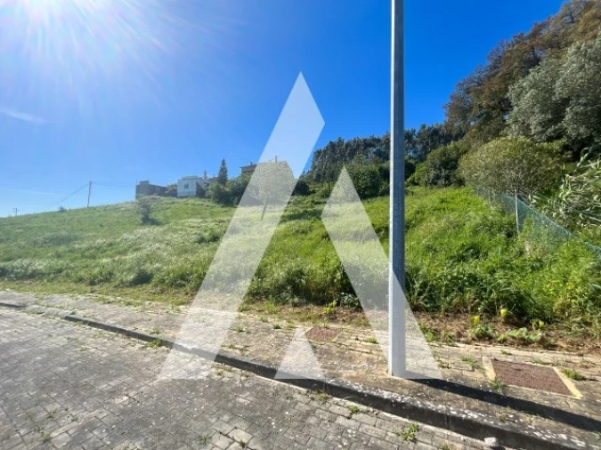 Terreno para Venda em Santa Clara e Castelo Viegas Foto 1