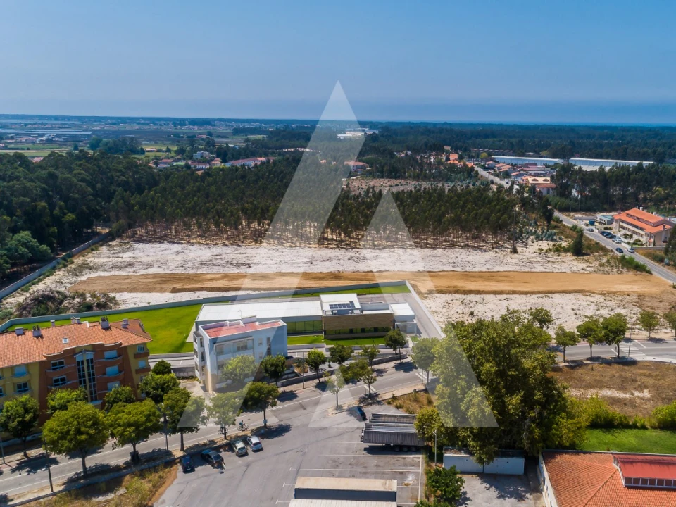 Terreno para Venda em Ovar, São João, Arada e São Vicente de Pereira Jusã Foto 11