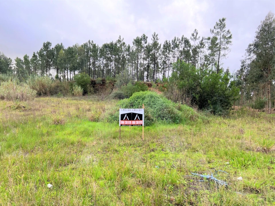 Terreno para Venda em Requeixo, Nossa Senhora de Fátima e Nariz Foto 1