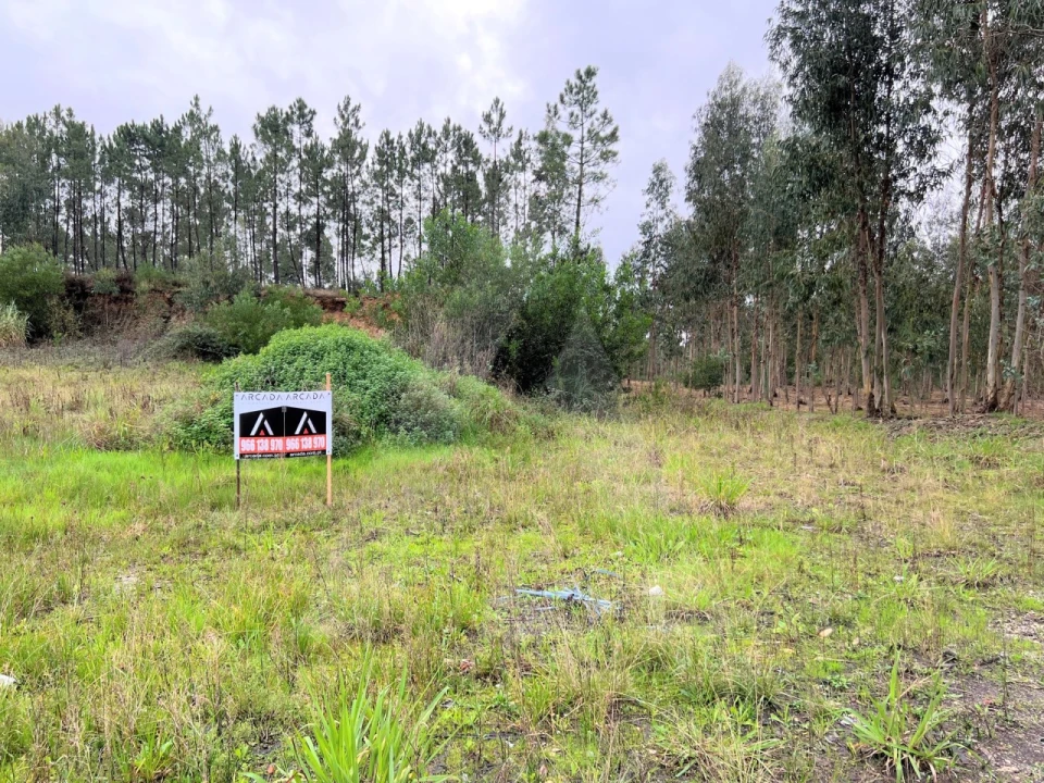 Terreno para Venda em Requeixo, Nossa Senhora de Fátima e Nariz Foto 3
