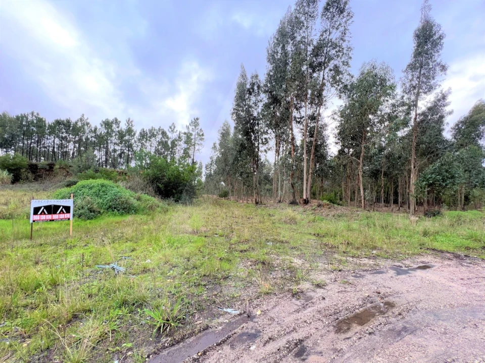 Terreno para Venda em Requeixo, Nossa Senhora de Fátima e Nariz Foto 8