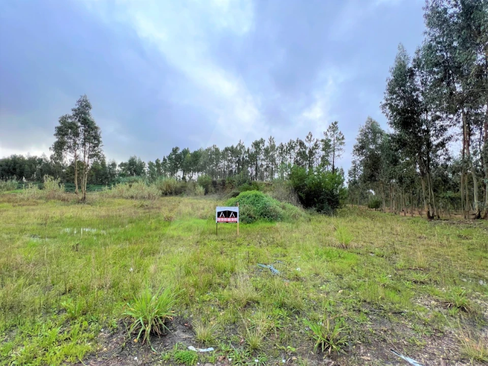 Terreno para Venda em Requeixo, Nossa Senhora de Fátima e Nariz Foto 9