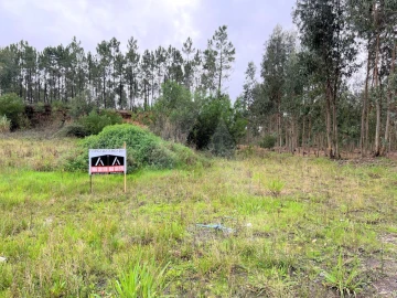 Terreno para Venda em Requeixo, Nossa Senhora de Fátima e Nariz