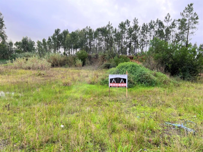 Terreno para Venda em Requeixo, Nossa Senhora de Fátima e Nariz Foto 2